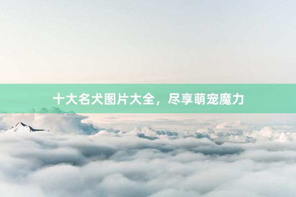 十大名犬图片大全，尽享萌宠魔力