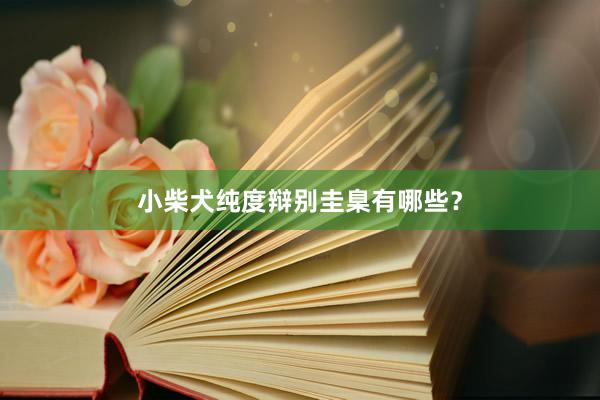 小柴犬纯度辩别圭臬有哪些？