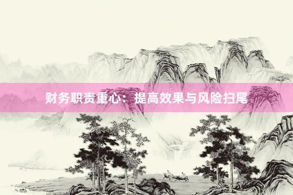 财务职责重心：提高效果与风险扫尾