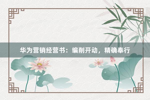 华为营销经营书：编削开动，精确奉行